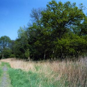 img108 copy