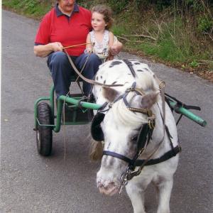 img111 copy